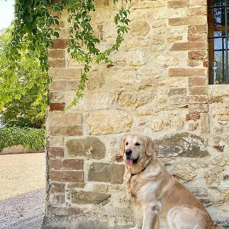 Country Loft At Palazzo Di Bagnaia